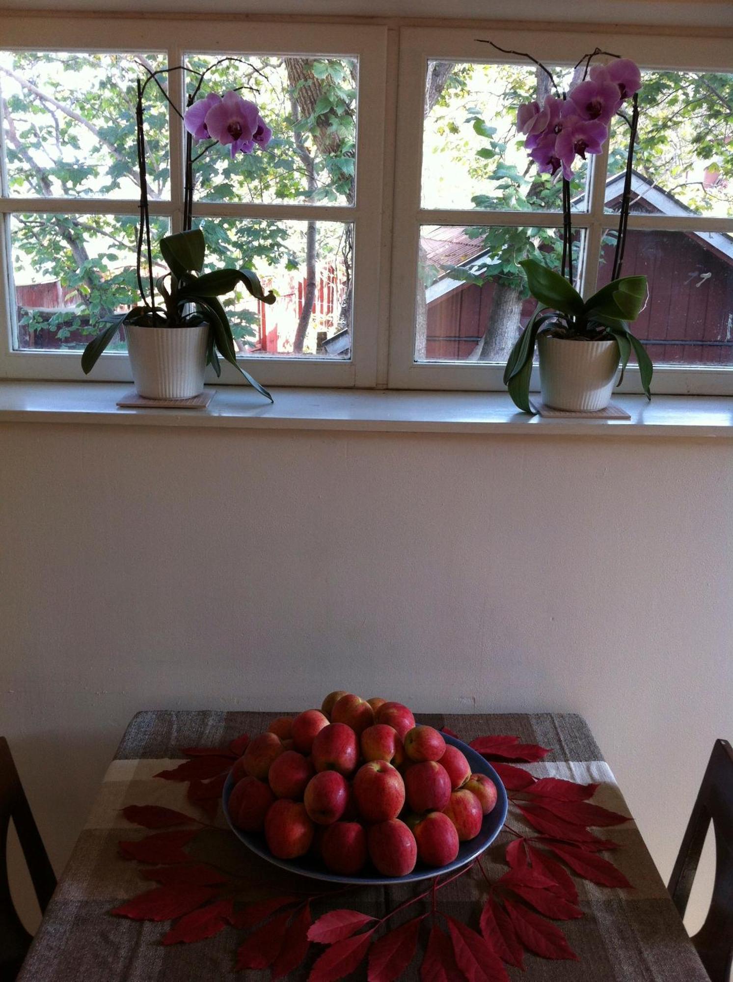 Stockholm B&B Cottage Nacka Zimmer foto