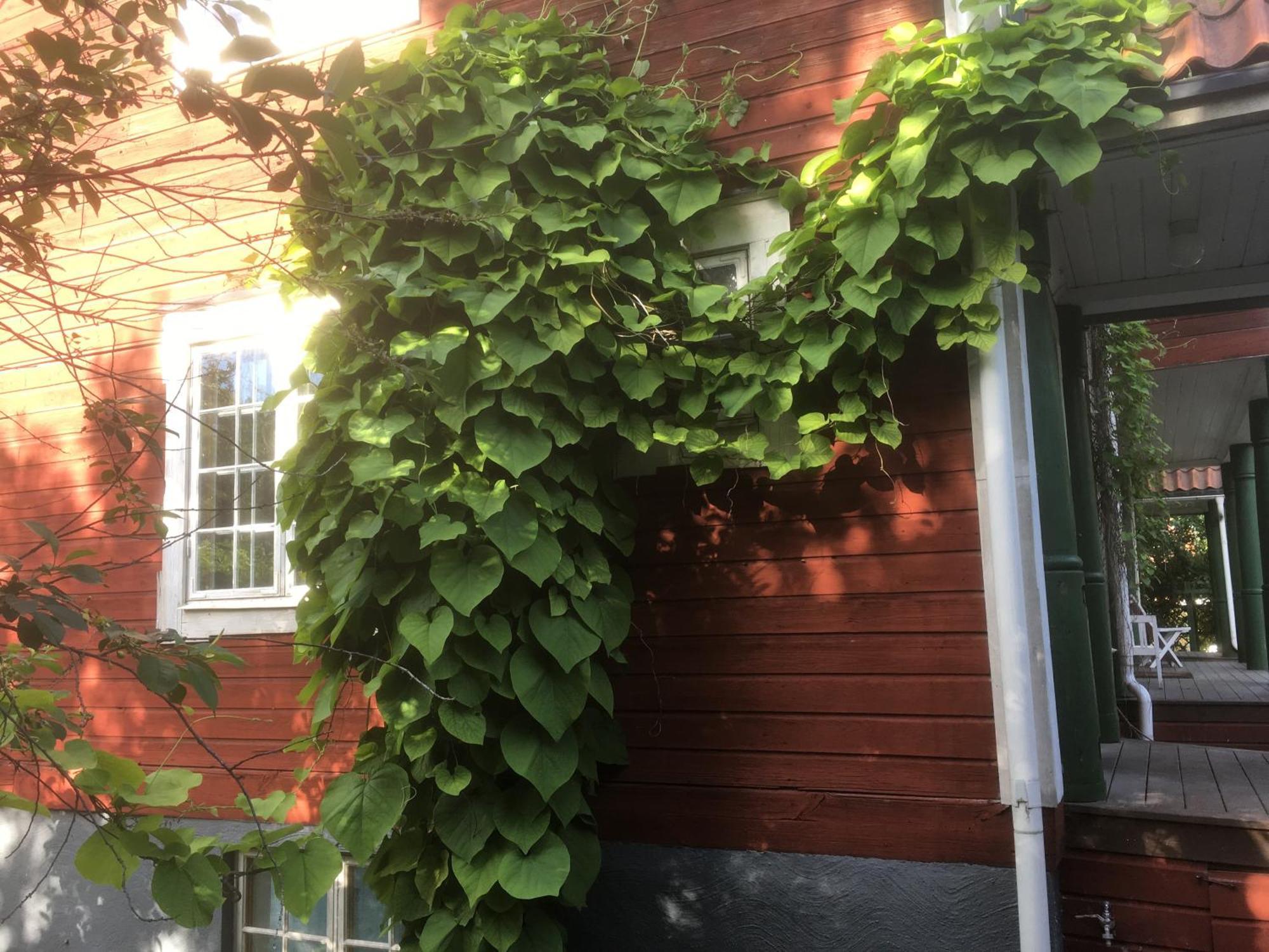 Stockholm B&B Cottage Nacka Zimmer foto