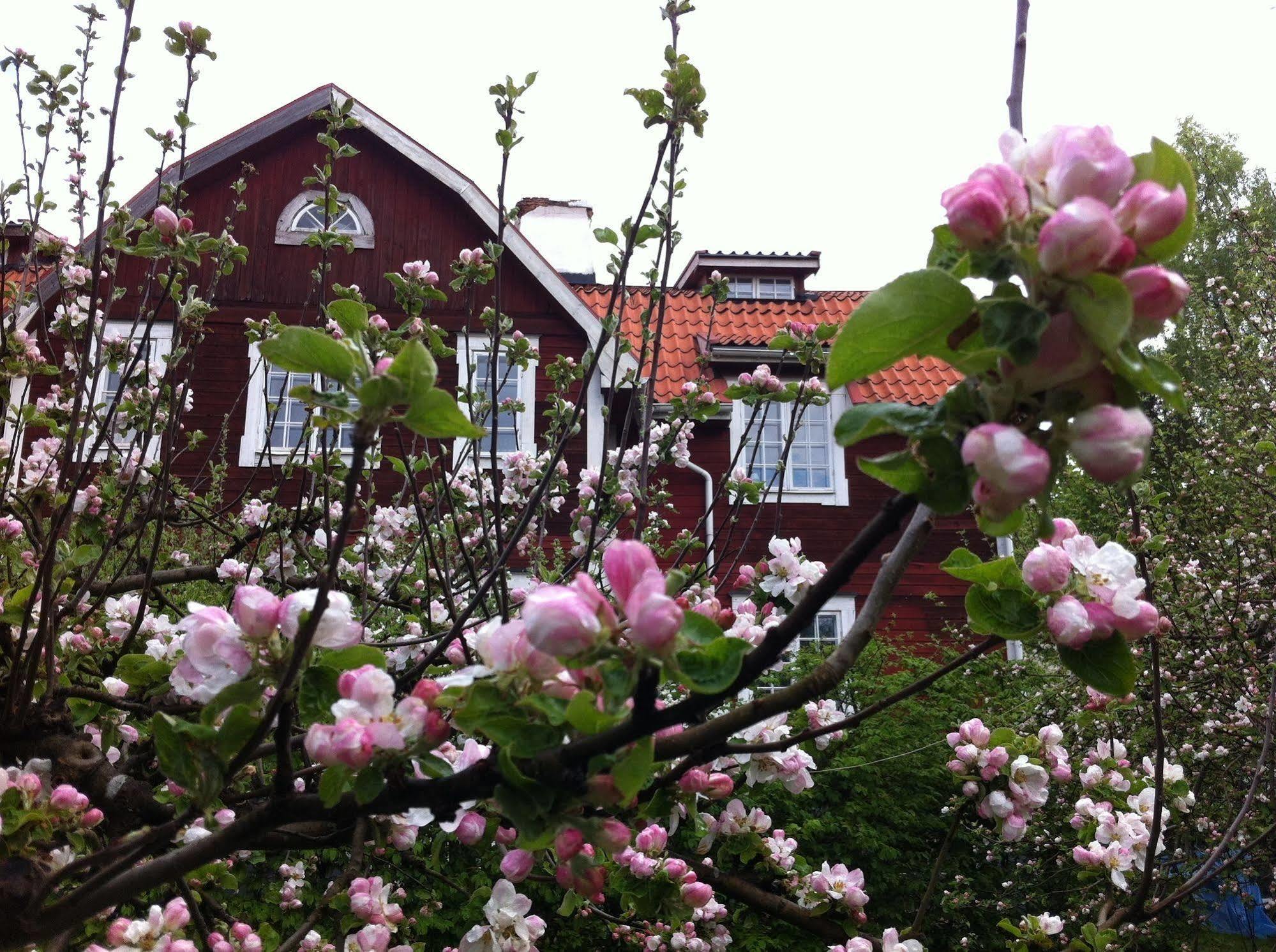 Stockholm B&B Cottage Nacka Exterior foto